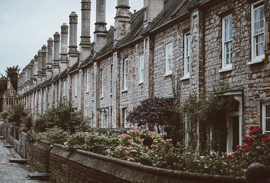 Vicar's Close, Wells, flowers beside concrete houses, terrace, HD wallpaper