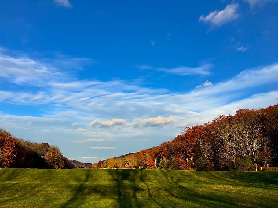 trees, field, foliage, sky, autumn, landscape, green, blue HD wallpaper