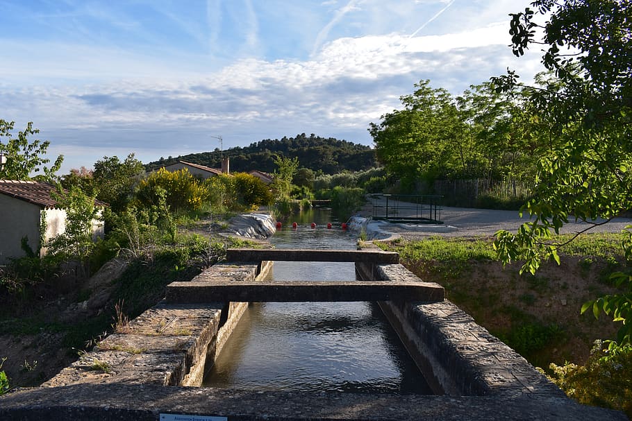 volx, provence, irrigation, canal, tree, water, plant, nature, HD wallpaper