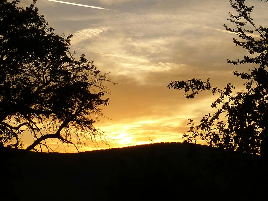 Sun, Sunset, Twilight, Sky, tree, silhouette, cloud - sky, nature HD wallpaper