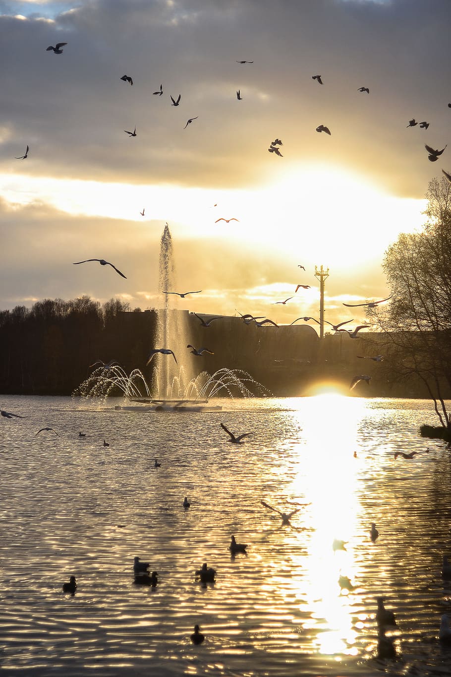 Bird, Sunset, Lake, Fountain, birds, water, nature, light, landscape HD wallpaper