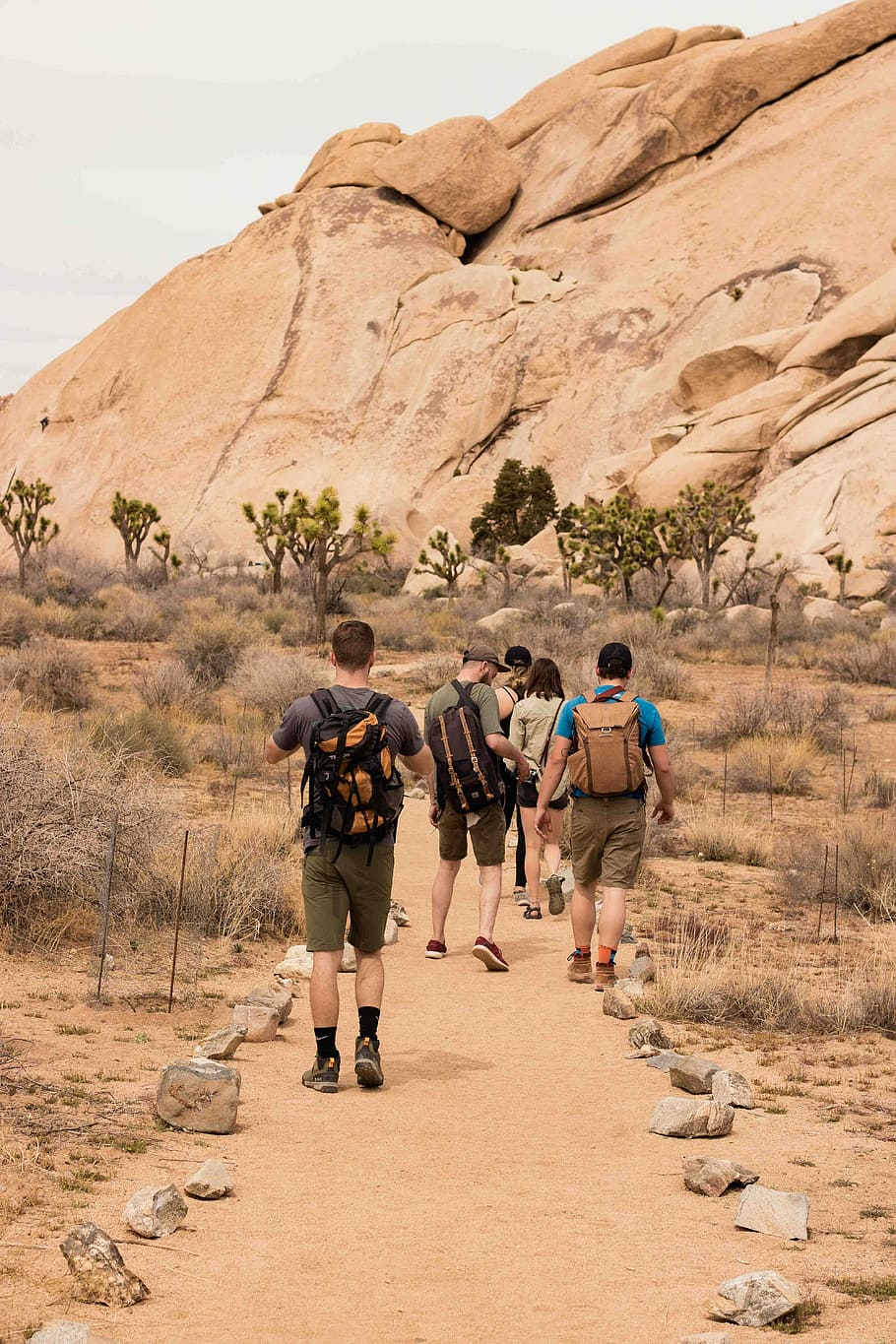 people walking on pathway, hike, hiking, hiker, group, desert, HD wallpaper