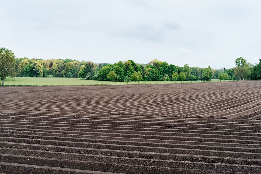 soil and valley, photo of land covered with soil, Lines, field HD wallpaper