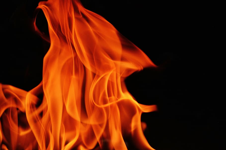 close-up photo of orange fire, flame, embers, burn, campfire HD wallpaper