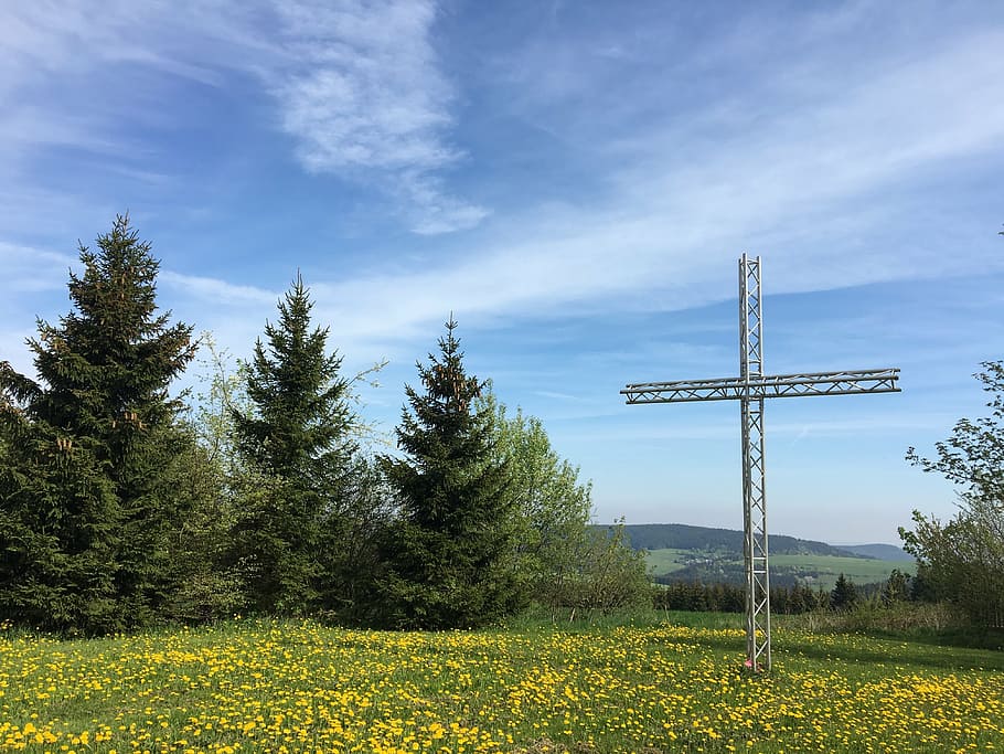 cross, forest, ymca, hoheneiche, green, christianity, flowers HD wallpaper