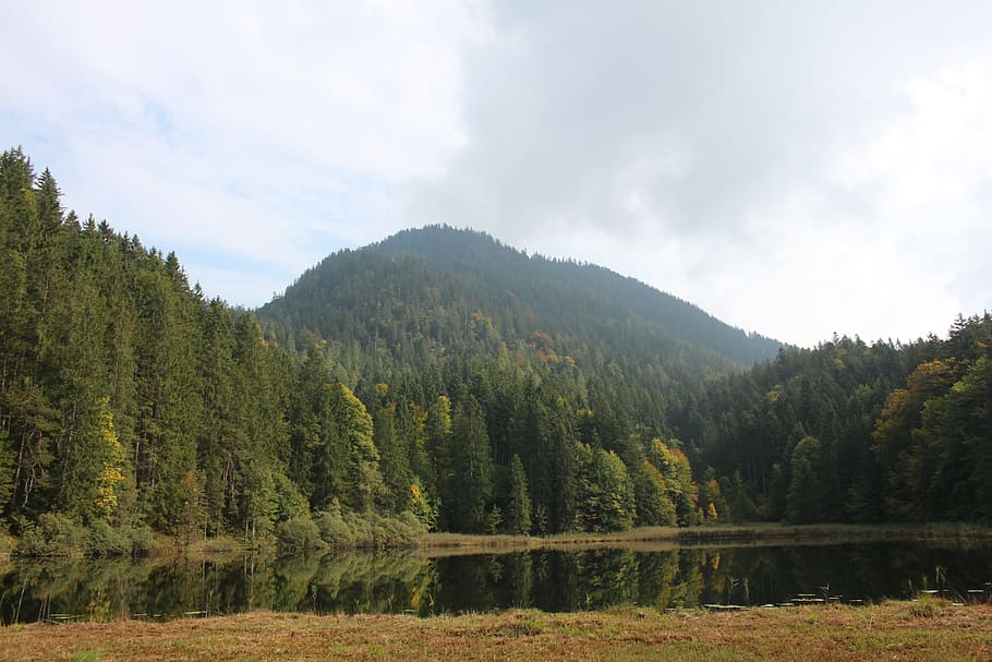 forest, lake, water, trees, mountain, meadow, clouds, nature HD wallpaper