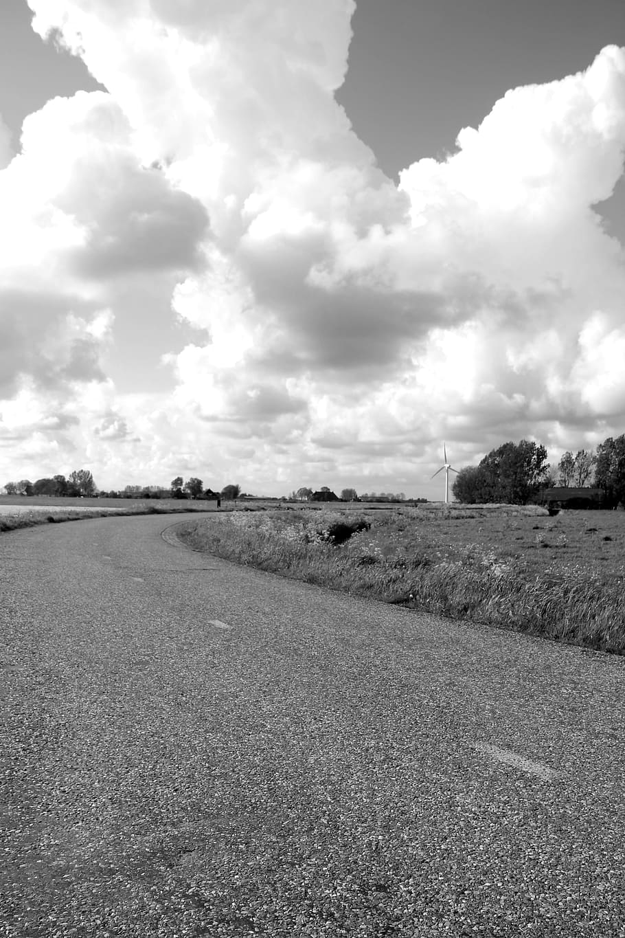 Black, White, White, Clouds, Road, Meadow, nature, holland HD wallpaper