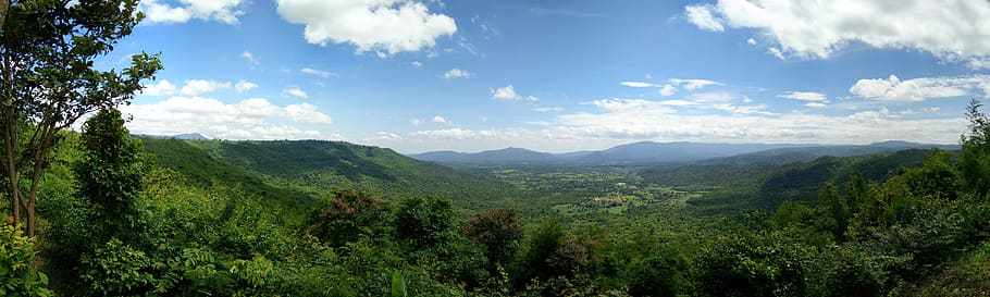 Plant, View, Mountain, Tree, nature, landscape, scenics, sky HD wallpaper