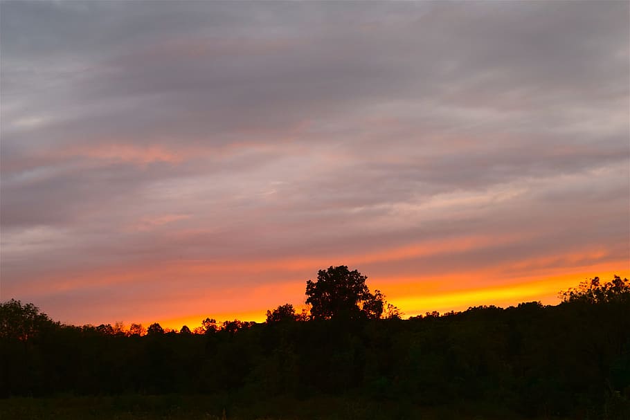 sunset, sky, trees, silhouette, nature, landscape, clouds, summer HD wallpaper