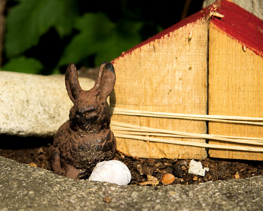 Hare, Easter, Garden, Spring, feuertag, greeting card, cute HD wallpaper