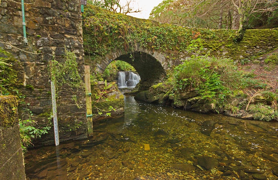 killarney, water, kerry, nature, plant, tree, architecture HD wallpaper