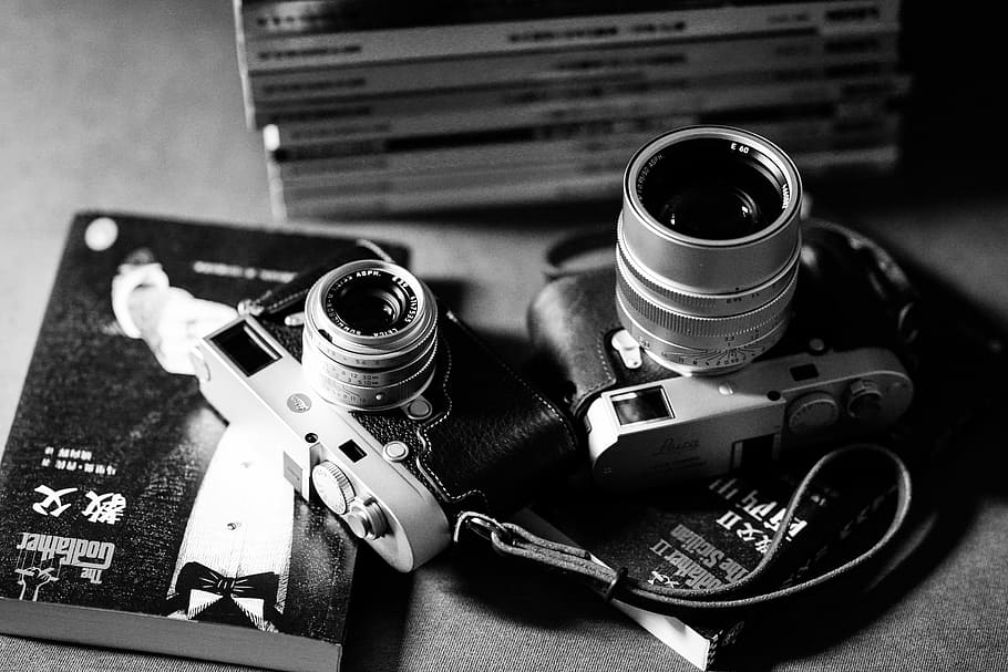 two MILC cameras on case, grayscale photo of digital cameras HD wallpaper