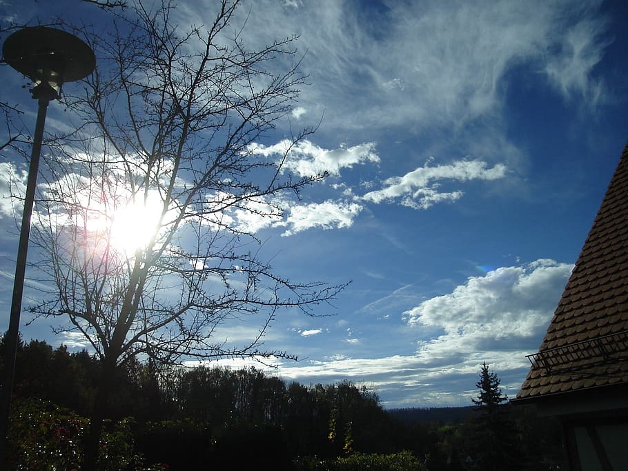sun, sky, autumn, clouds, beautiful, bush, sunbeam, ambience HD wallpaper