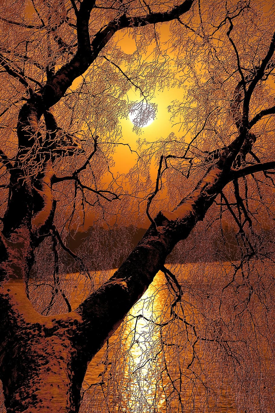 Sunset, Tree, Landscape, abendstimmung, silhouette, branch HD wallpaper