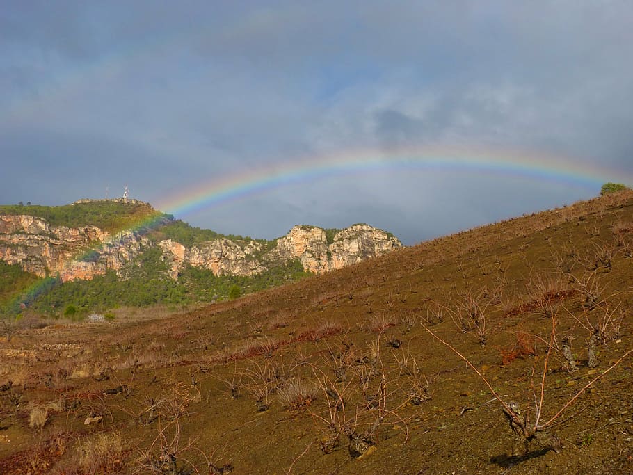 rainbow, vineyard, landscape, priorat, beauty in nature, scenics - nature HD wallpaper