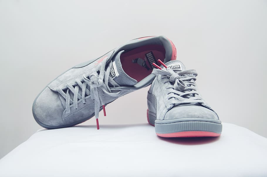 puma, dove, sneakers, shoes, sneakerhead, studio shot, shoelace, HD wallpaper