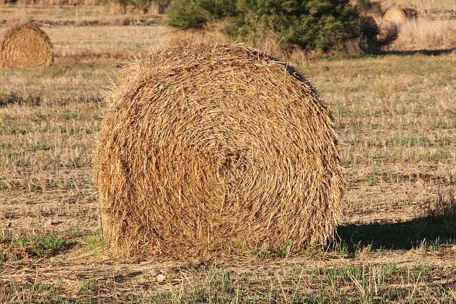 straw, field, farm, summer, nature, rural, agriculture, countryside HD wallpaper
