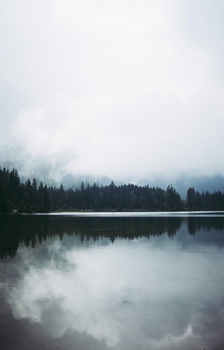 green leaf trees under cloudy sky, body of water surrounded by trees under cloudy sky HD wallpaper
