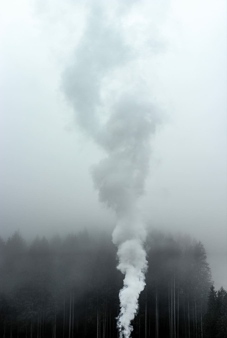 smoke near trees at daytime, smoke on air near trees during daytime HD wallpaper