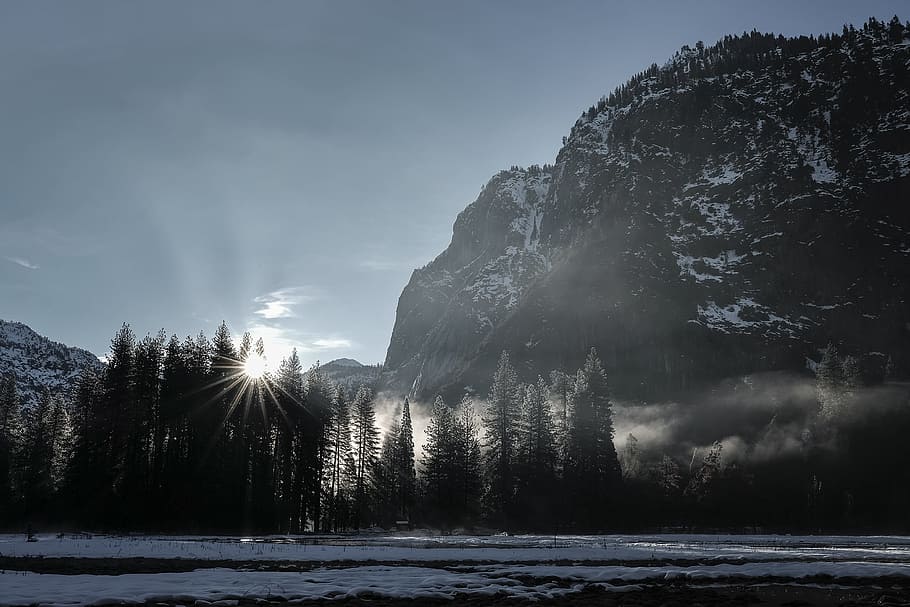 sun rays through pine trees, mountain peak near green tall trees HD wallpaper
