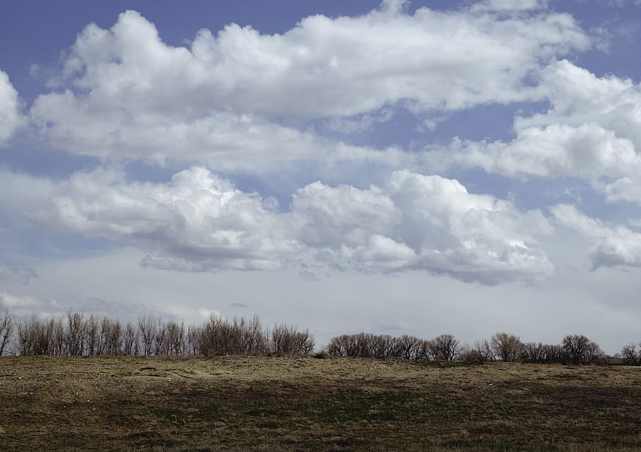 sky, blue, green, nature, blue sky clouds, blue sky background HD wallpaper