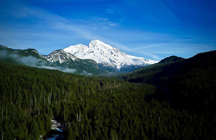 Mt Rainer, landscape photo of snow covered mountain, forest, blue sky HD wallpaper