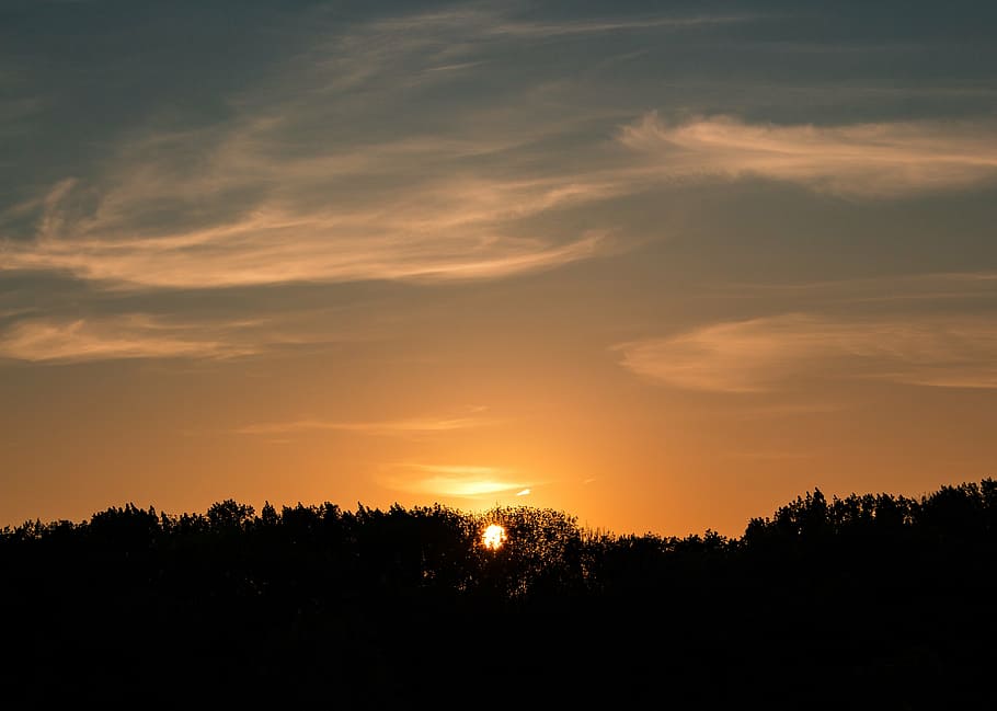 sunset, abendstimmung, evening sky, romance, orange, silhouette HD wallpaper