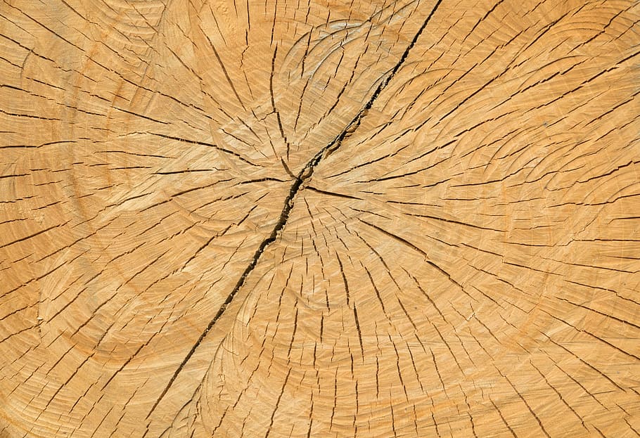 wood, cracks, structure, old, background, nature, brown, dry, HD wallpaper