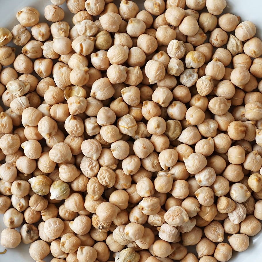 brown nuts on white palte, chickpeas, grains, eating, vegetables legumes, HD wallpaper