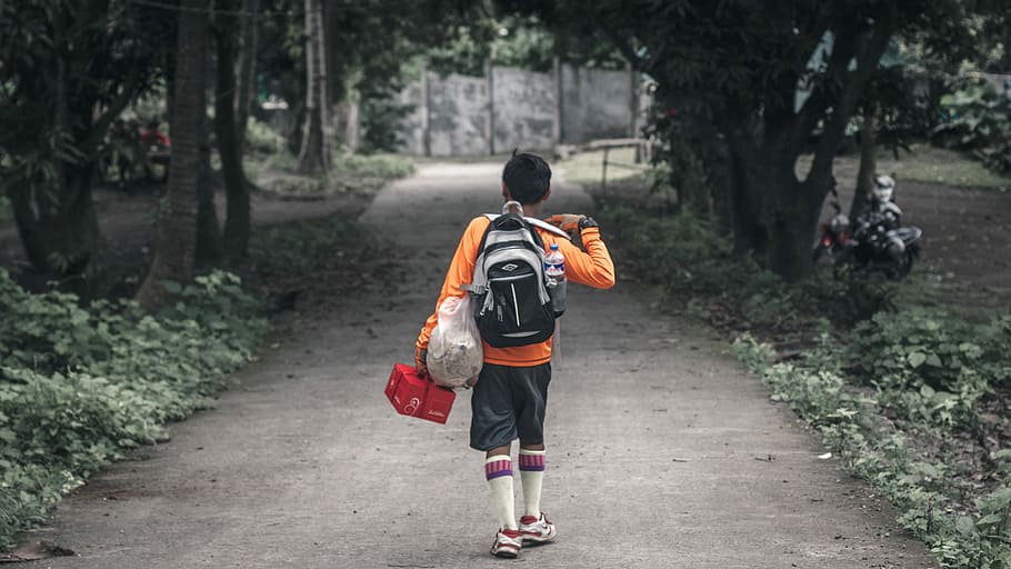 boy with backpack walking on pathway between trees, boy in orange long-sleeved shirt carrying backpack walking on pathway, HD wallpaper