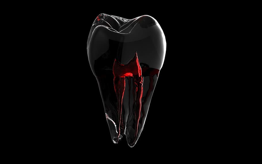Tooth 1080P 2K 4K 5K HD wallpapers free download  Wallpaper Flare