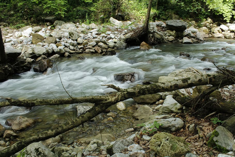 water, tree, nature, landscape, natural life, dd, solid, rock HD wallpaper