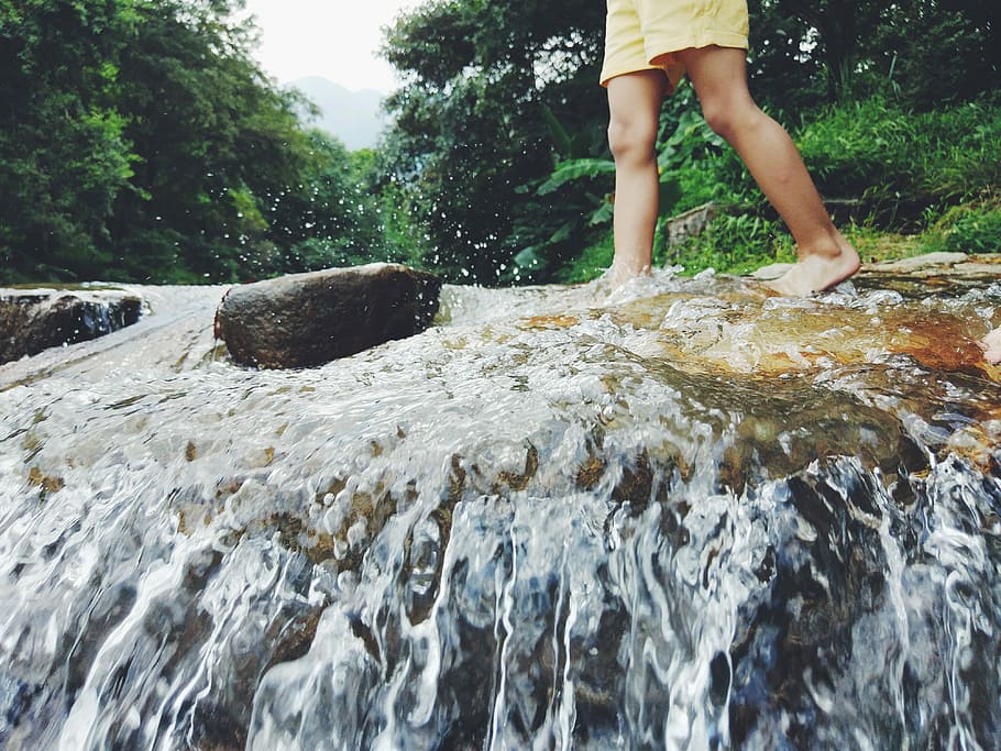 photography of person walking on riverbed, person walking in water near tall trees HD wallpaper