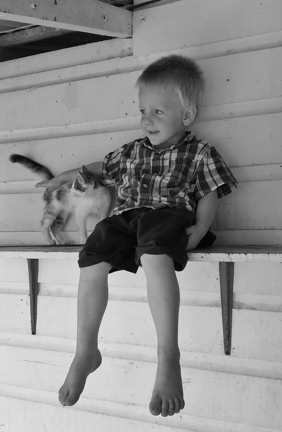 boy, cat, pet, mischievous, happy, shelf, black and white, full length HD wallpaper