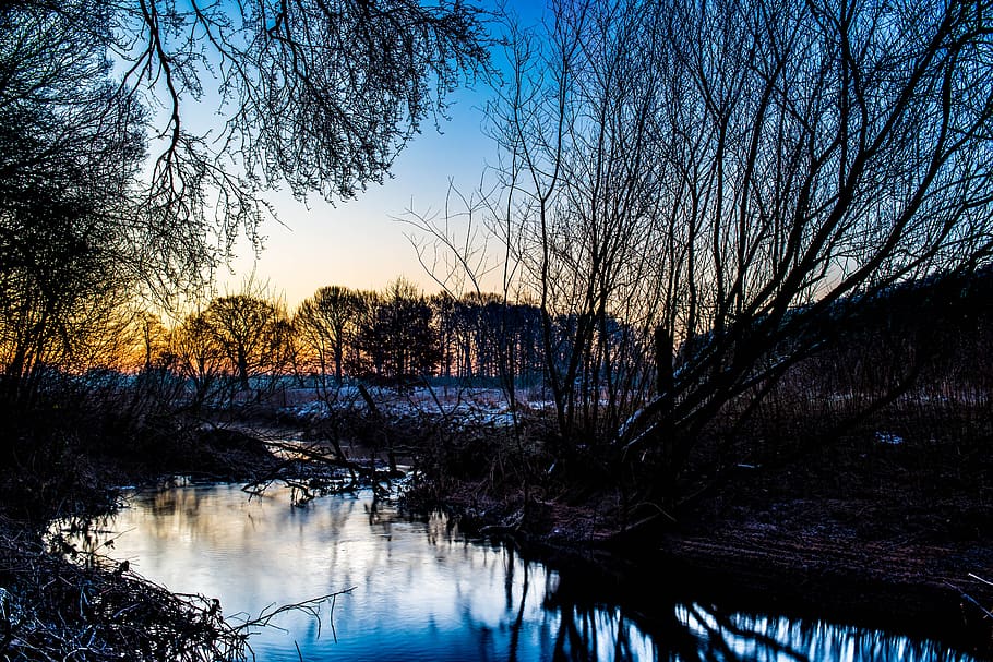 nature, waters, trees, reflection, dawn, landscape, river, winter HD wallpaper