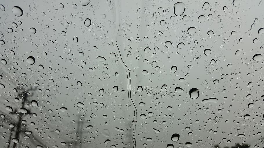rain, raining, water, wet, drop, bubble, droplet, clean, dew HD wallpaper
