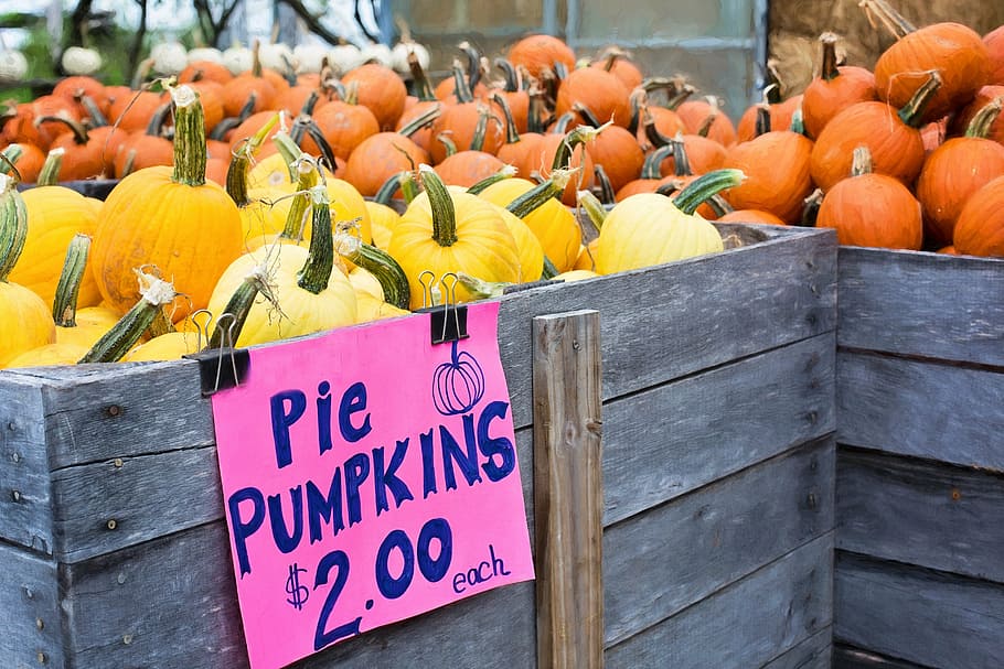 pie pumpkins in crate, autumn, fall, autumn background, harvest HD wallpaper