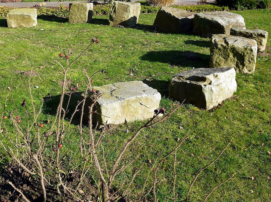 stones, stone circle, meadow, plant, grass, nature, field, land HD wallpaper