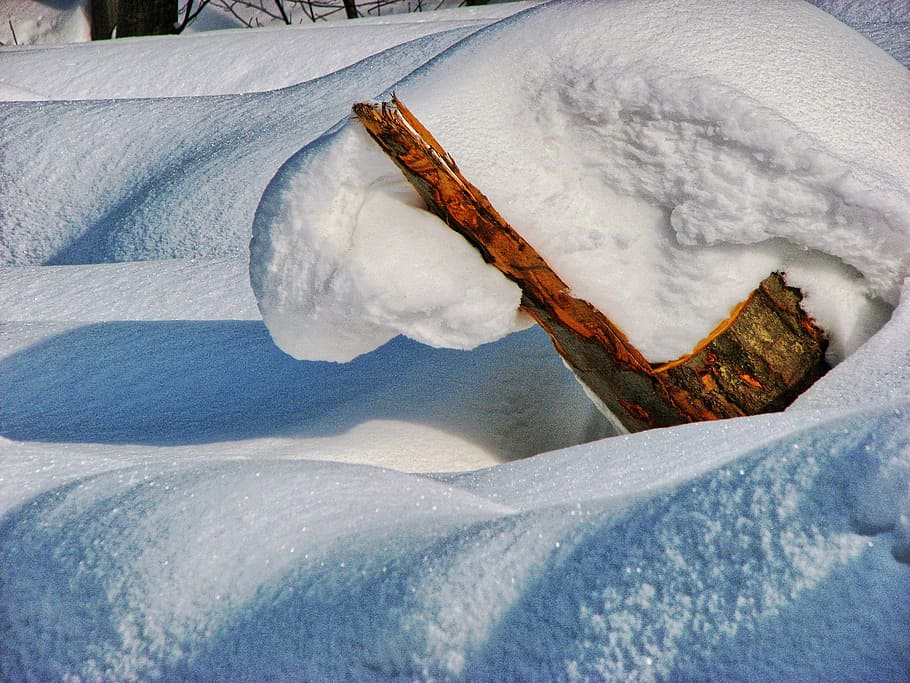 snow, winter, biel, trunk, forest, zaspa, cold temperature HD wallpaper