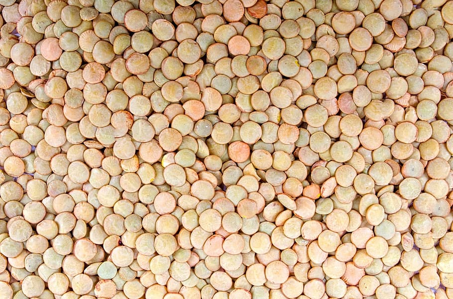 close-up photo of brown pellets, agriculture, backdrop, bean HD wallpaper