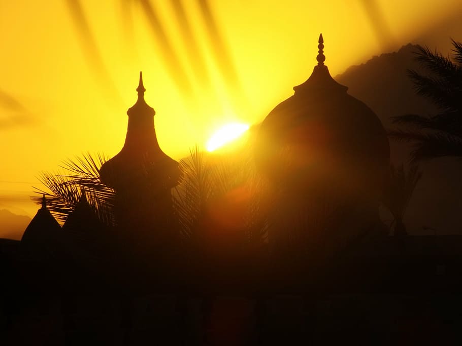 sun, palm, sunset, buddhism, myanmar, buddha, asia, thailand HD wallpaper