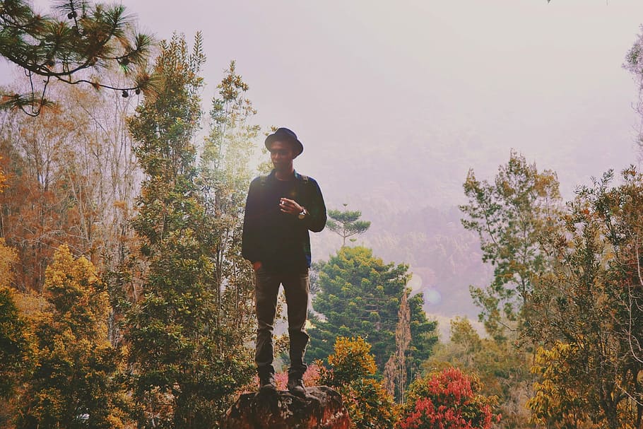 man standing on rock surrounded by trees, man wearing black suit surrounded by trees and plants HD wallpaper