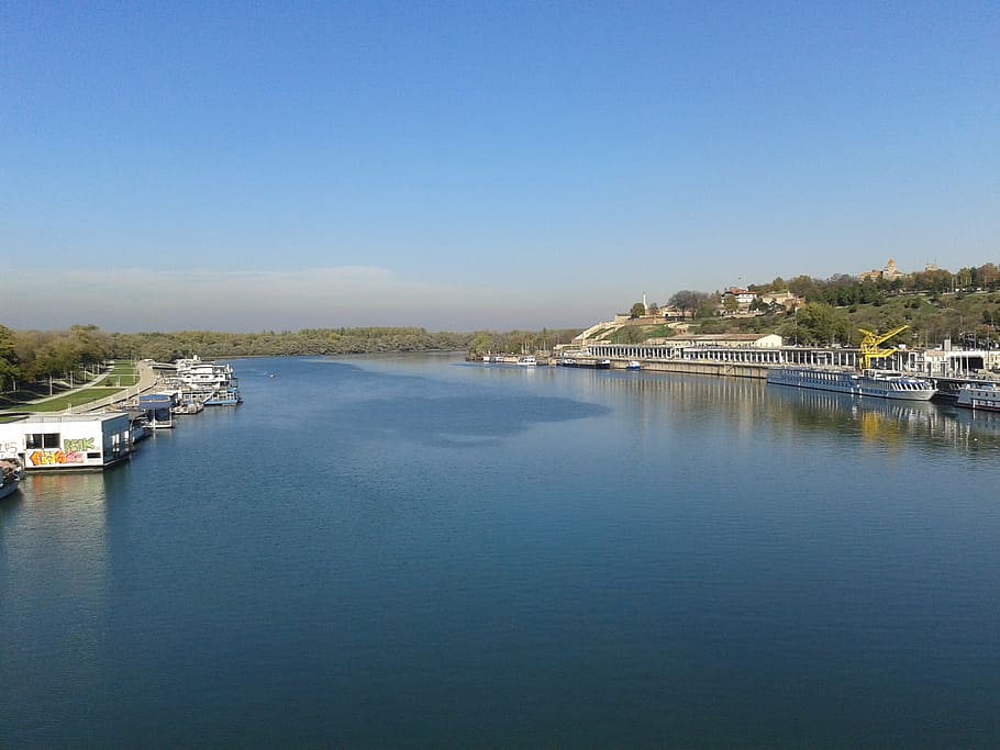 belgrade, serbia, river, city, town, water blue, port, boats, HD wallpaper