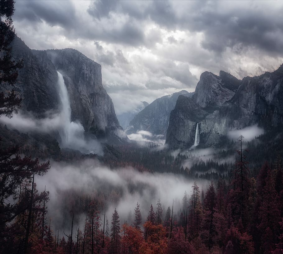 mountains with fog, foggy forest under white sky, mist, tree HD wallpaper
