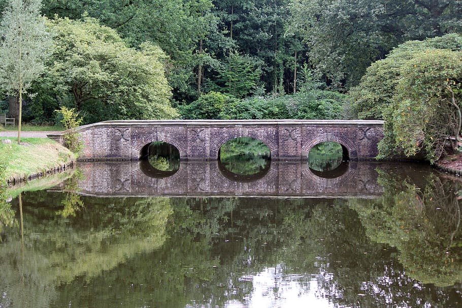 bridge, heritage, castle, reflection, estate, tree, water, plant HD wallpaper