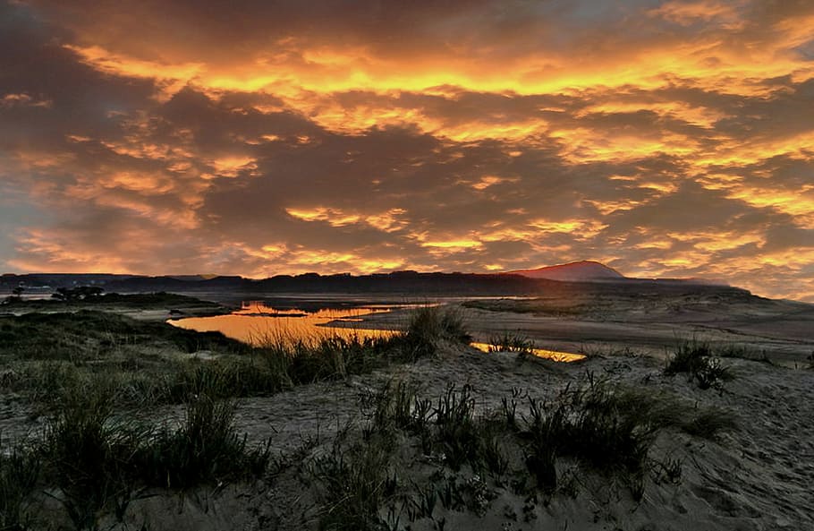 Sunset, Yellow, Clouds, Beach, Sky, yellow clouds, contrast HD wallpaper