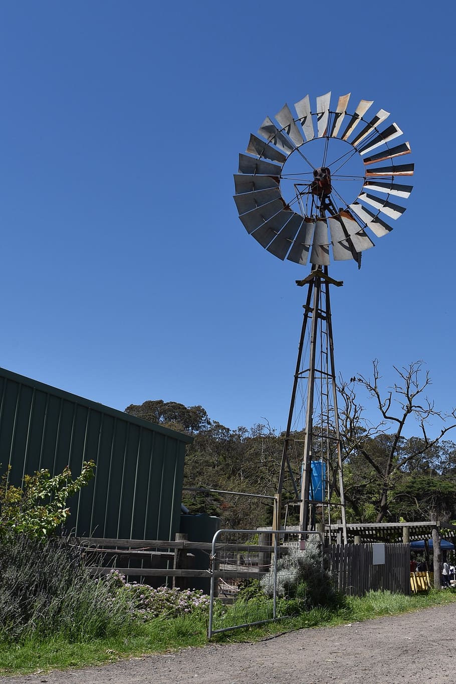 windmill, farm, rural, power, country, sky, renewable energy HD wallpaper