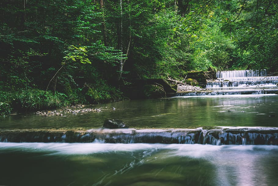 nature, water, forest, trees, calm, cascade, clean, creek, flow HD wallpaper