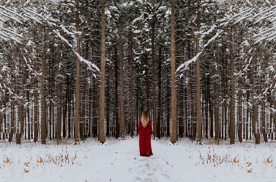 woman standing in front of forest, photo of woman wearing red dress walking towards forest HD wallpaper