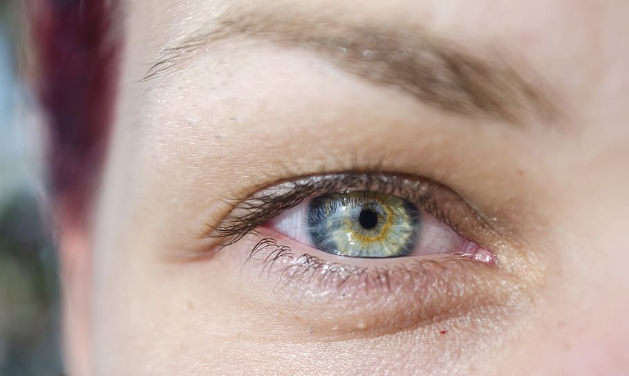 Eye, Human, Face, Female, Look, Woman, person, eyeball, looking HD wallpaper
